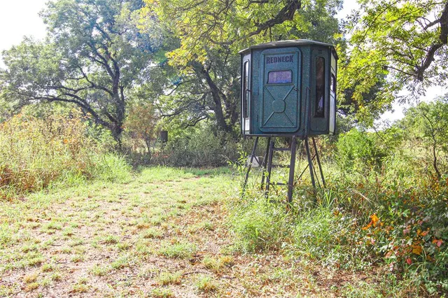 a picture of a tree in a room