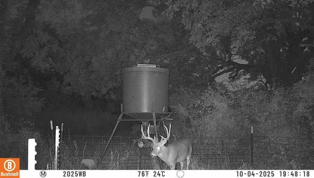 a balcony with table and chairs