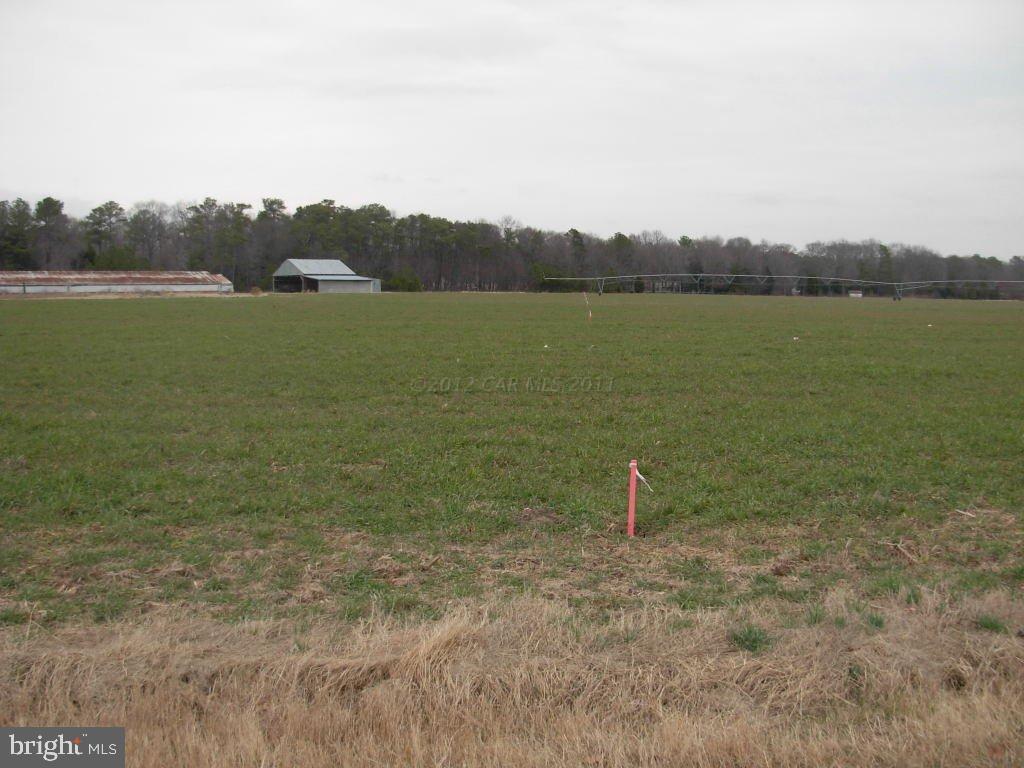 28178 Log Cabin Road Salisbury, MD 21801 - Photo 8 of 14 Gallery Image 8