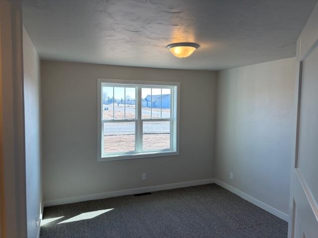 N3903 Wettering Way Kaukauna, WI 54130 - Photo 27 of 37