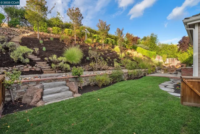 a view of a garden with an tree