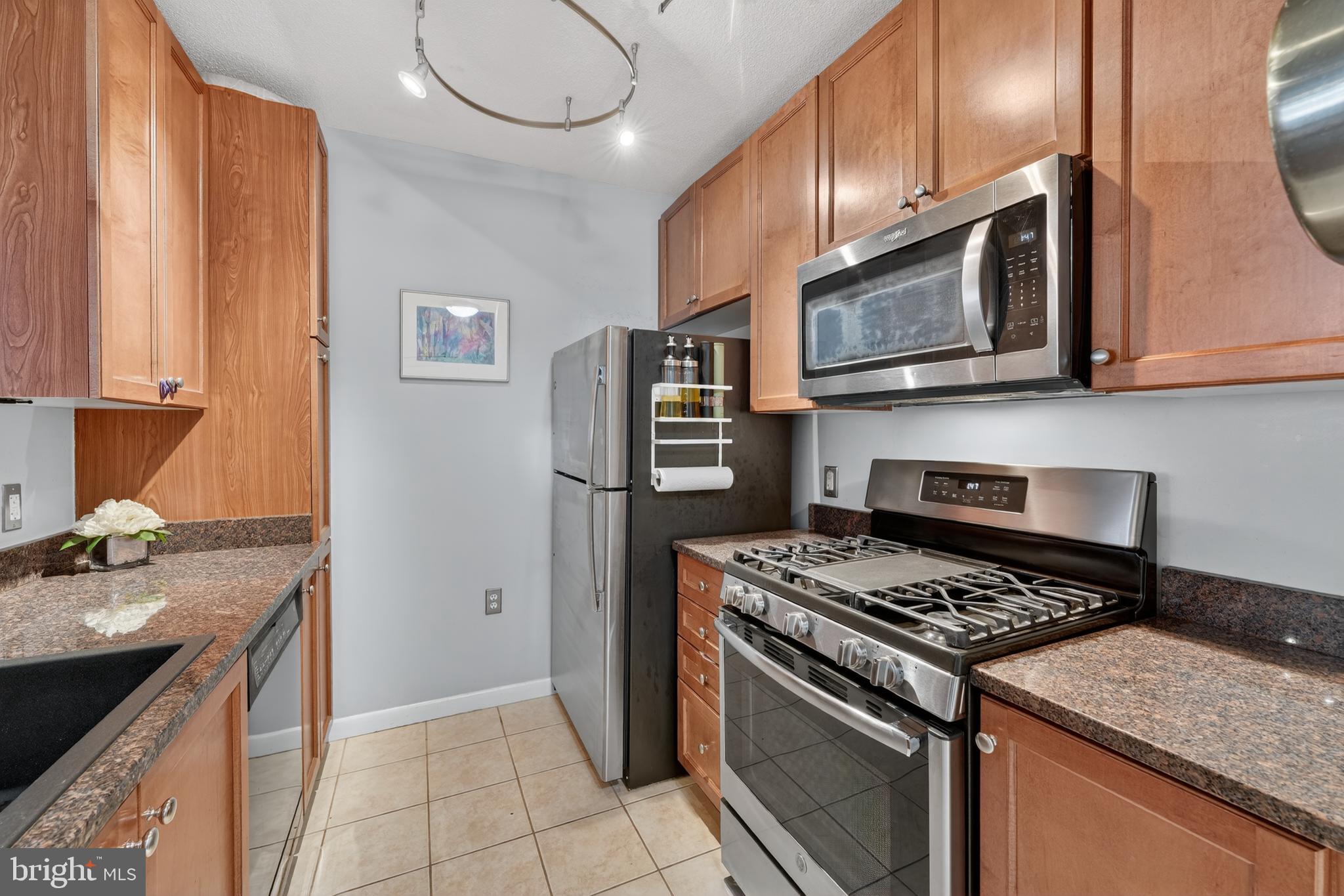 851 North Glebe Road, Unit 1301 Arlington, VA 22203 - Photo 8 of 84 Kitchen Boasts Granite Counters & Gas Cooking!