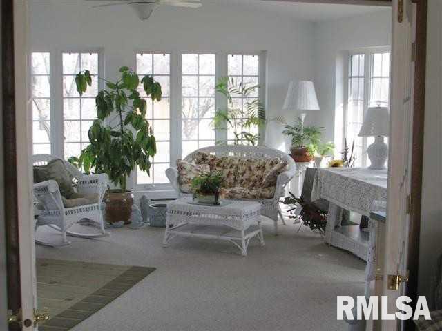 208 South State Street Atkinson, IL 61235 - Photo 4 of 12