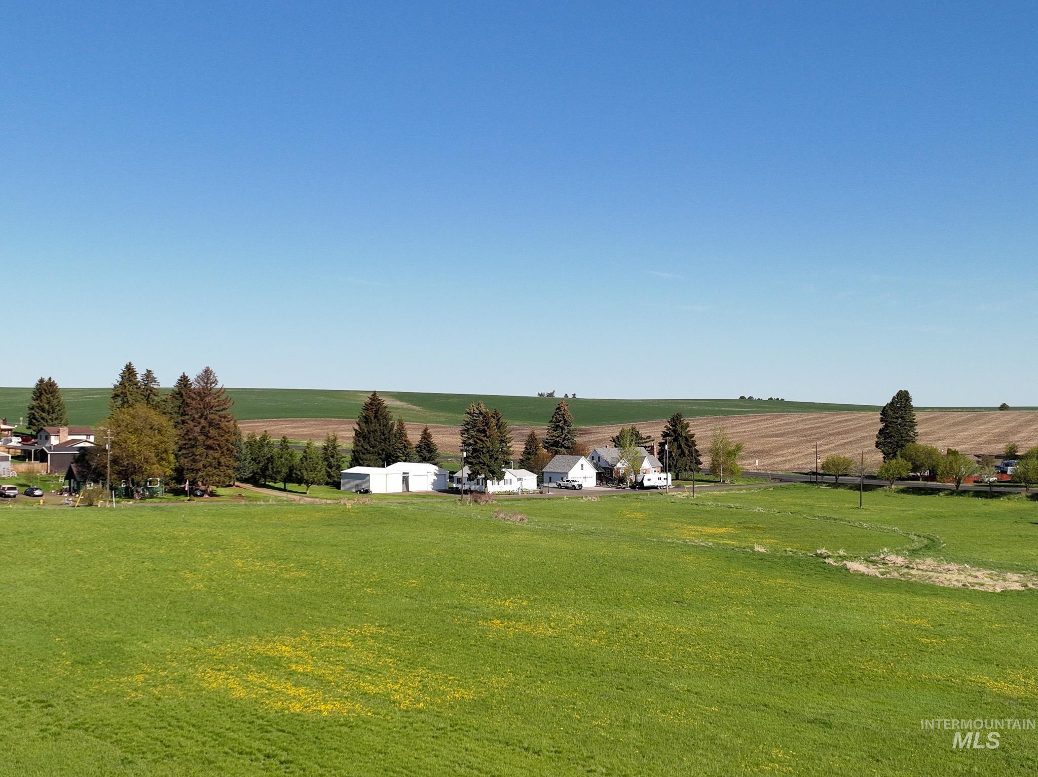 Tbd Cold Spring Gulch Road Craigmont, ID 83523 - Photo 4 of 10