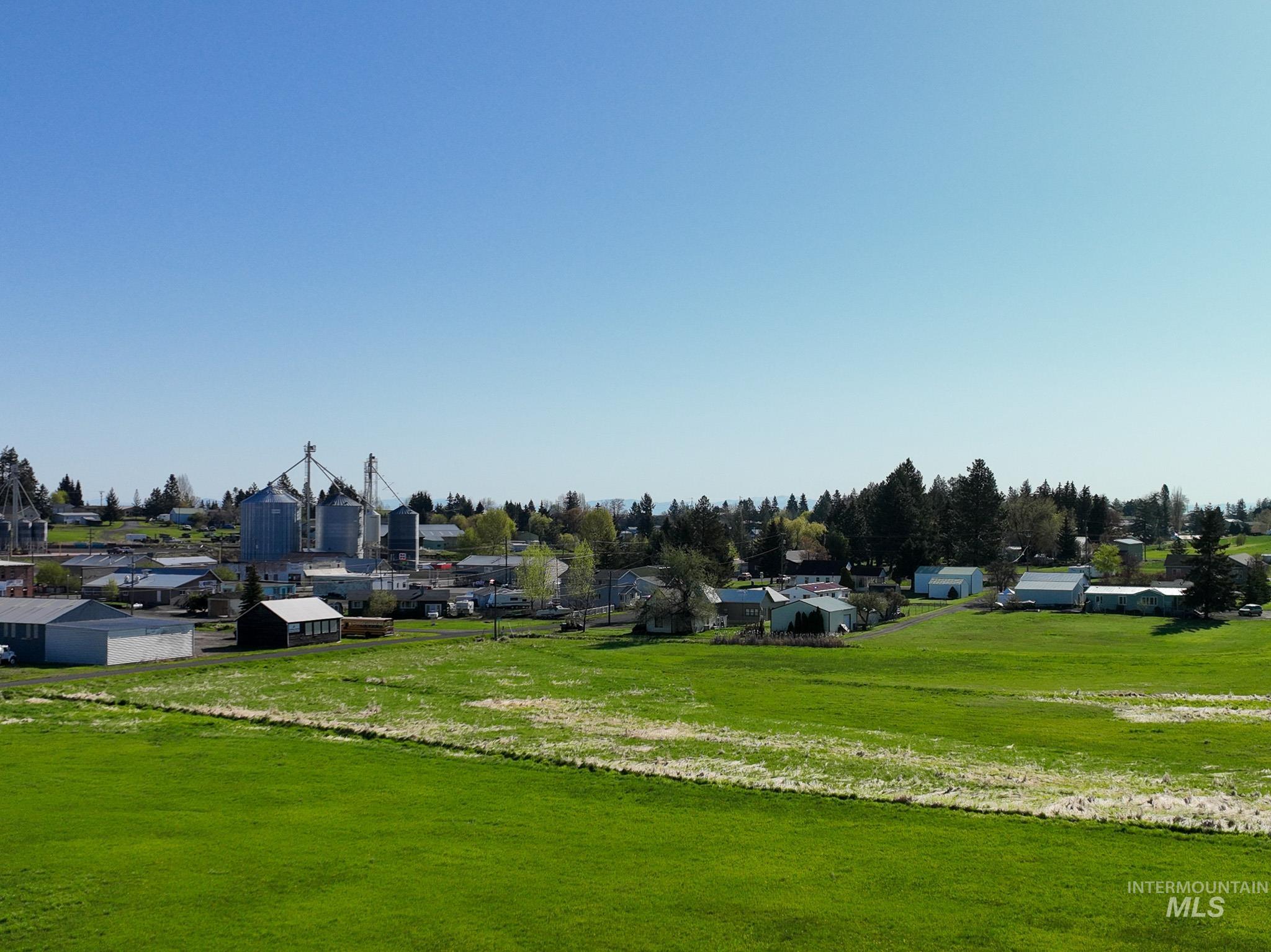 Tbd Cold Spring Gulch Road Craigmont, ID 83523 - Photo 5 of 10