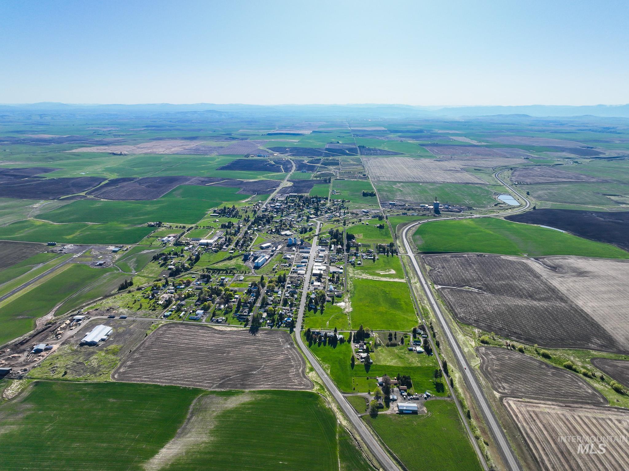 Tbd Cold Spring Gulch Road Craigmont, ID 83523 - Photo 9 of 10