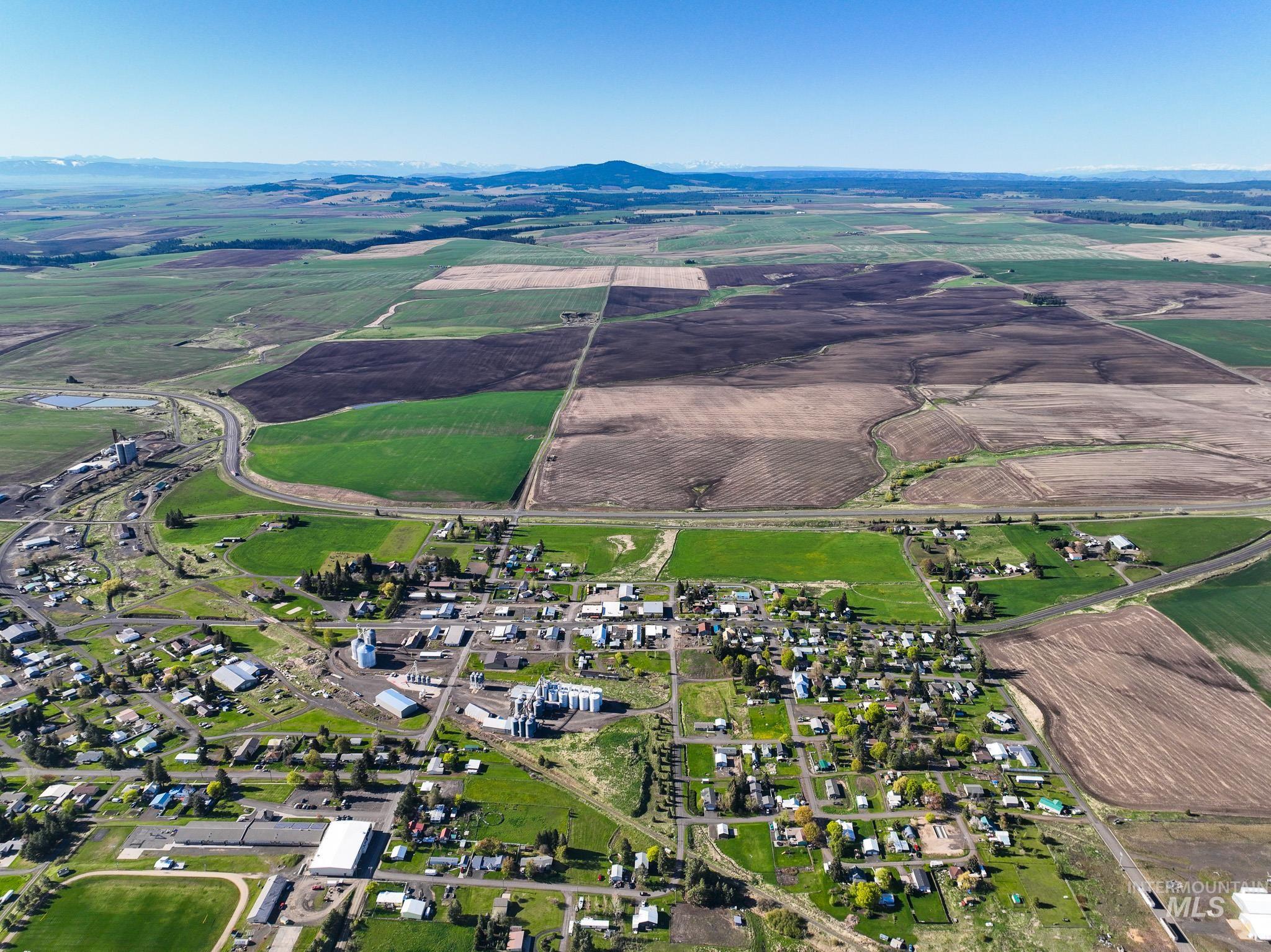 Tbd Cold Spring Gulch Road Craigmont, ID 83523 - Photo 10 of 10