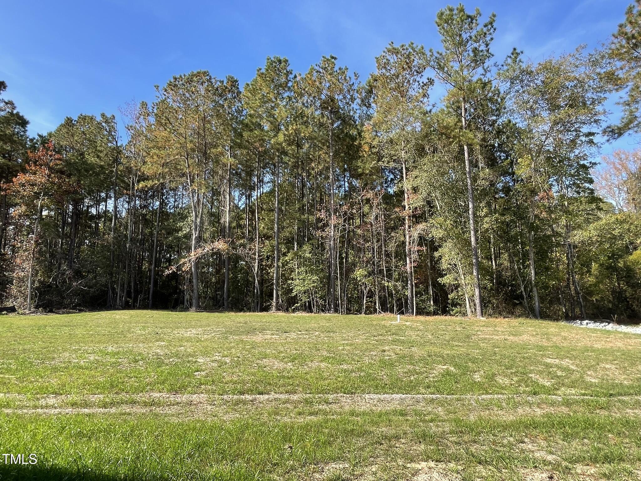 79 Tulipfield Way Benson, NC 27504 - Photo 19 of 19 a view of swimming pool with a yard