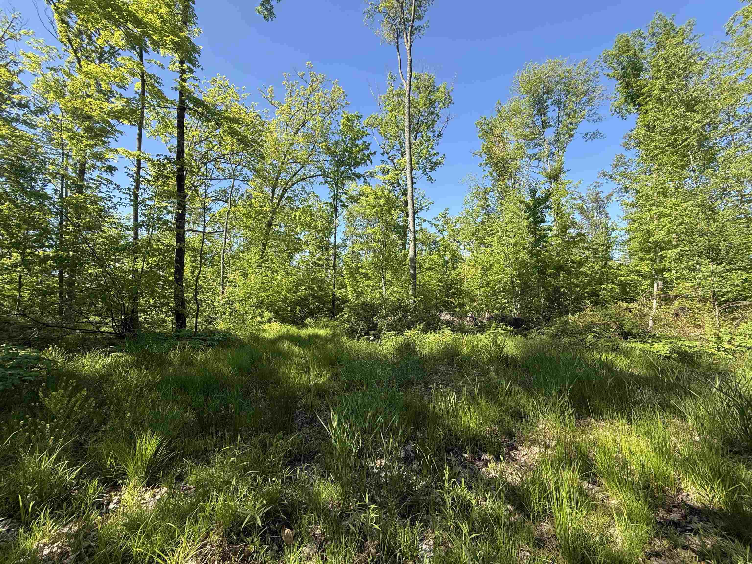 N5610 Resort Road Bonduel, WI 54107 - Photo 9 of 13