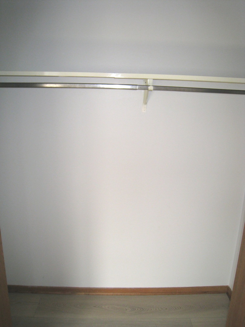 1235 Harding Avenue, Unit 302 Des Plaines, IL 60016 - Photo 13 of 22 a close up view of closet