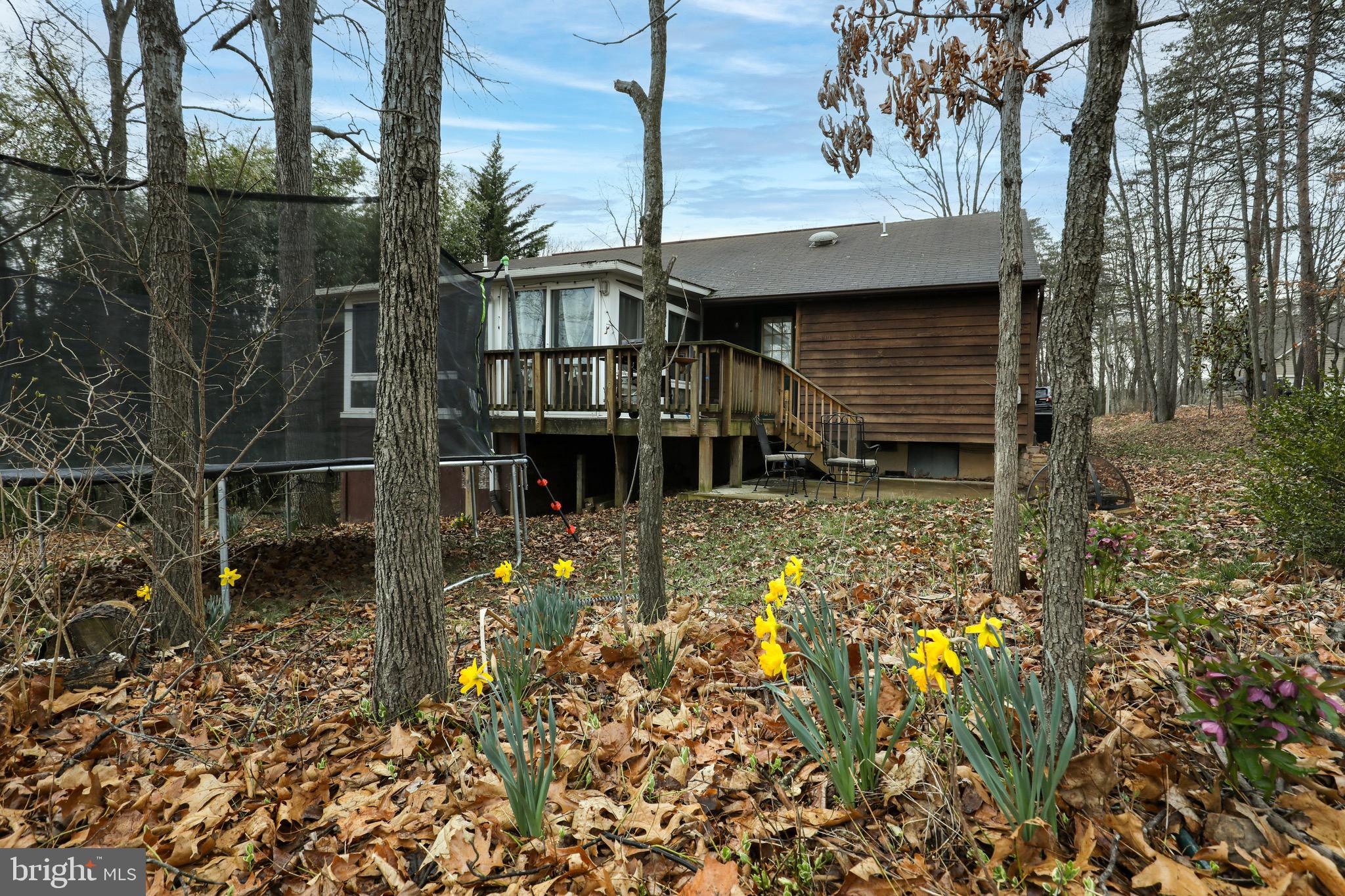 137 Holiday Road Cross Junction, VA 22625 - Photo 34 of 42