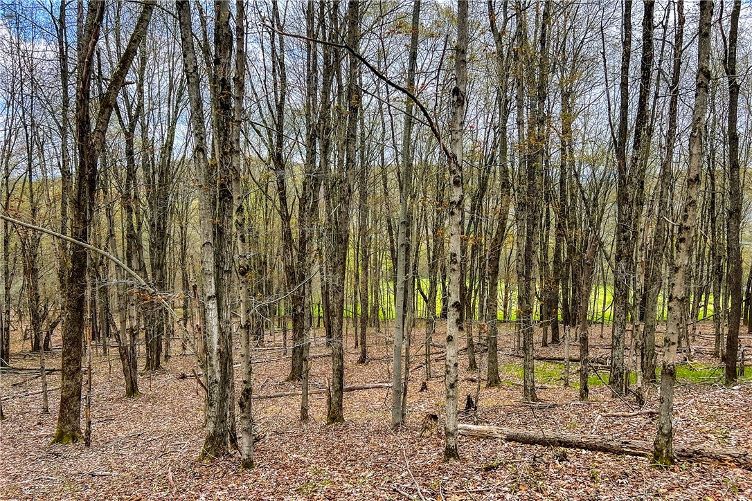 Lot 3 Brownell Road Bloomville, NY 13739 - Photo 19 of 35