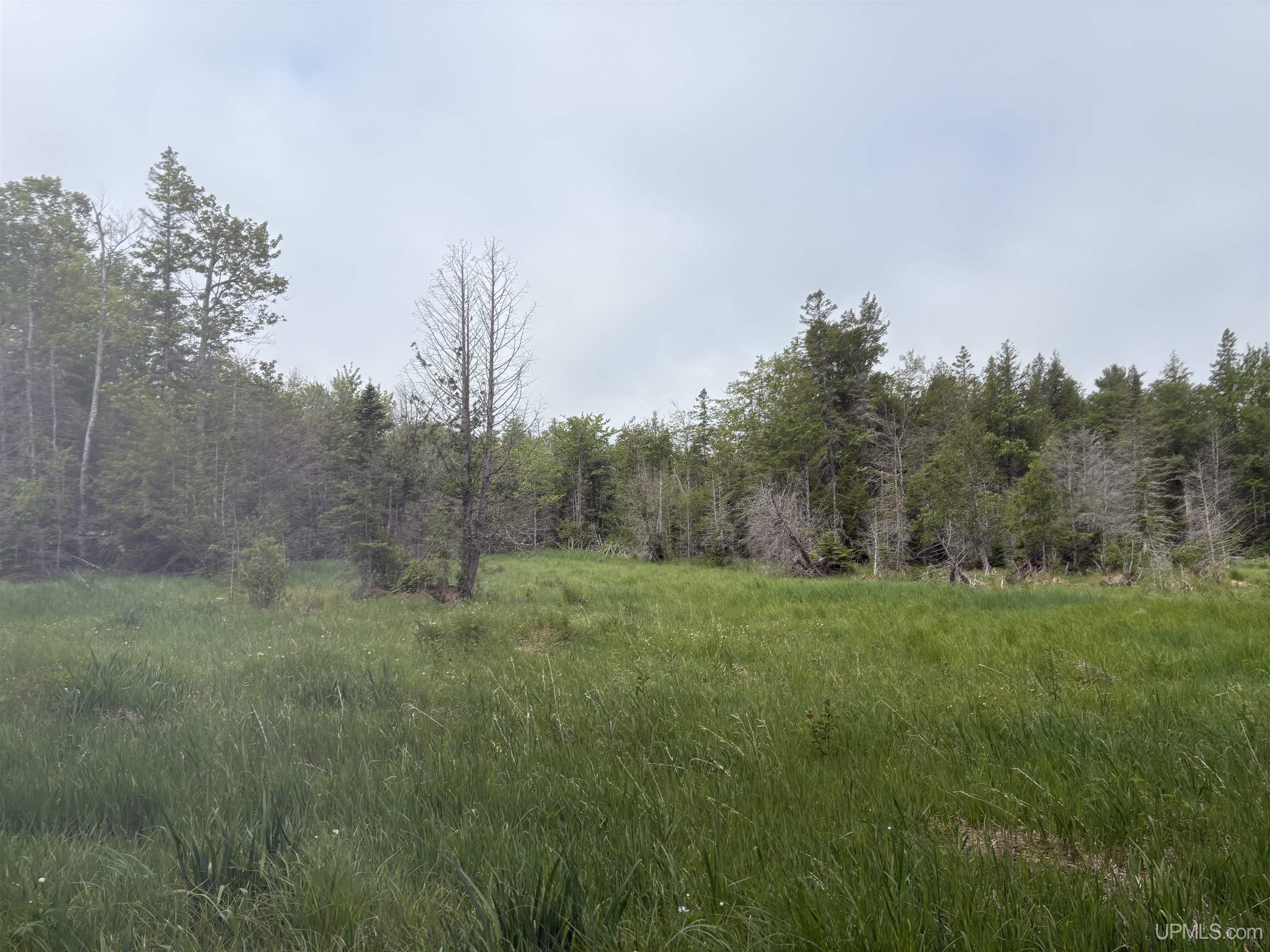 Tbd Rock River Road Deerton, MI 49822 - Photo 11 of 12