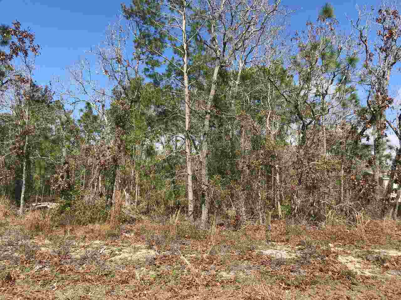 2166 Post Oak Road, Unit LOT 220 Perry, FL 32348 - Photo 3 of 3 Gallery Image 3