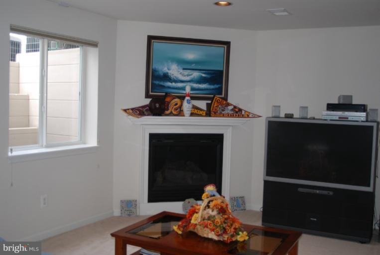 3960 Addison Woods Road Frederick, MD 21704 - Photo 10 of 21 Basement