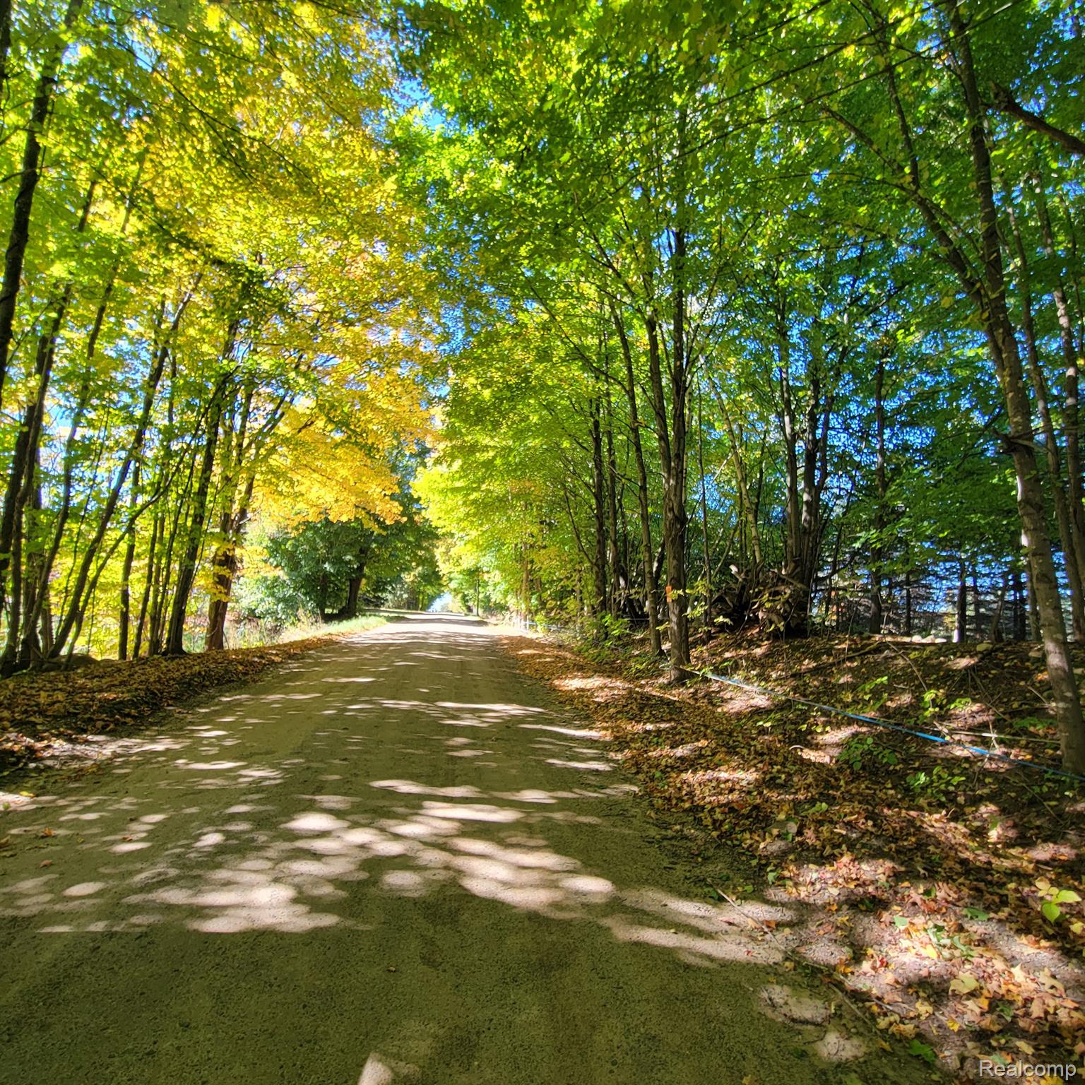 5782 Lyons Road Imlay City, MI 48444 - Photo 37 of 47 QUIET ROAD TAKES YOU HOME!