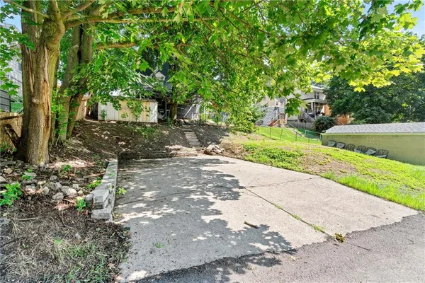 a view of a yard with plants and trees