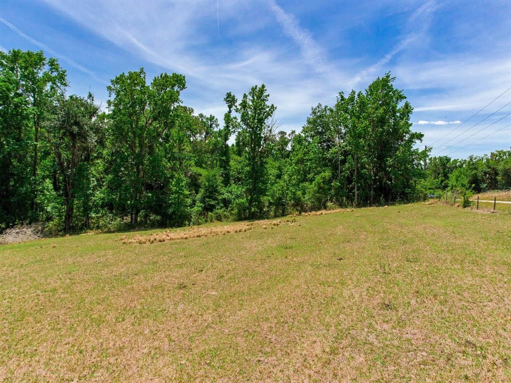 Spring Lake Highway Brooksville, FL 34602 - Photo 40 of 49 a view of a yard with a tree