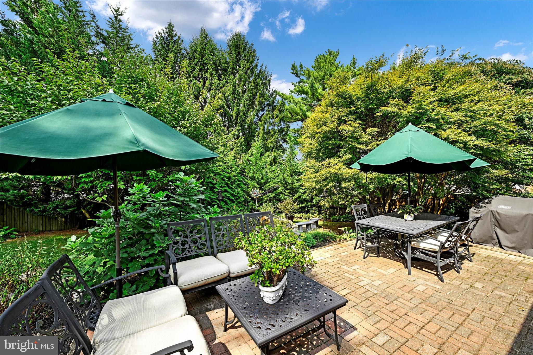 Beautiful back patio