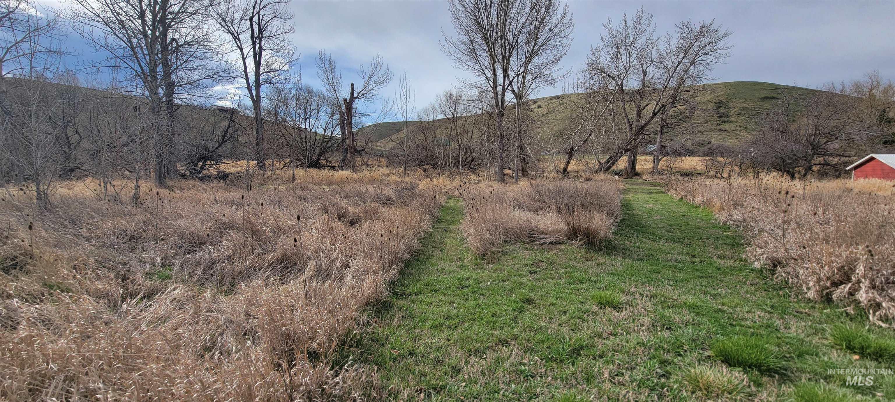 426 Highway 12 Pomeroy, WA 99347 - Photo 27 of 31