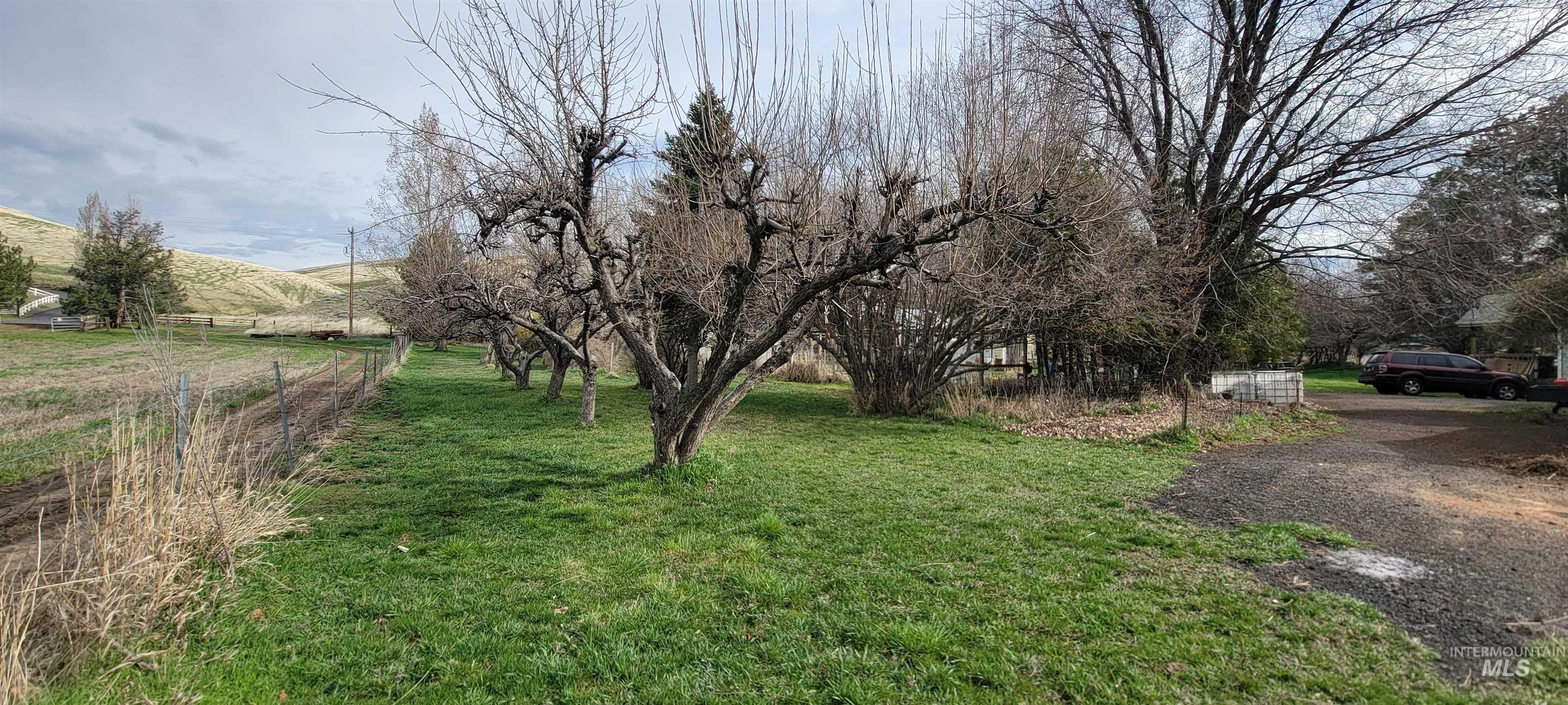 426 Highway 12 Pomeroy, WA 99347 - Photo 28 of 31