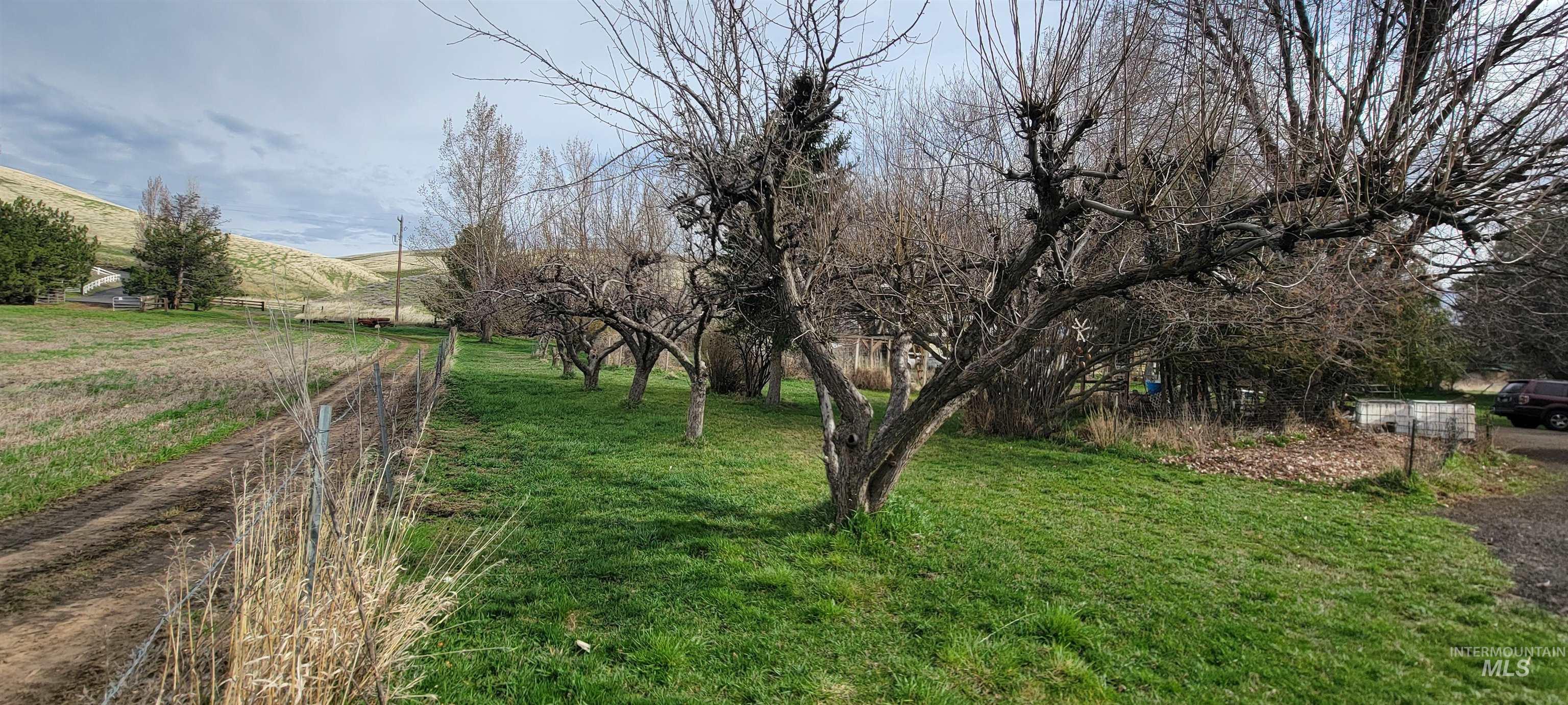 426 Highway 12 Pomeroy, WA 99347 - Photo 29 of 31