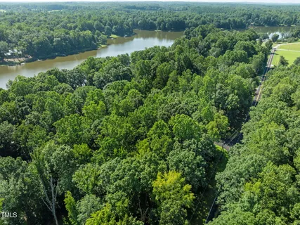 an aerial view of green landscape with trees houses and lake view