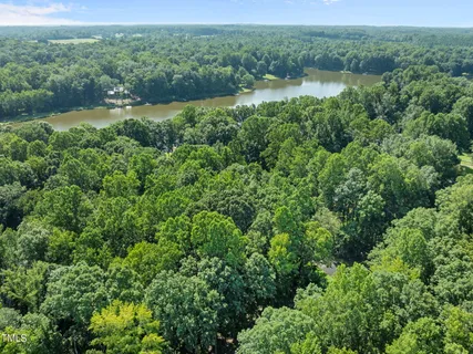 a view of a lush green forest with a lake and trees