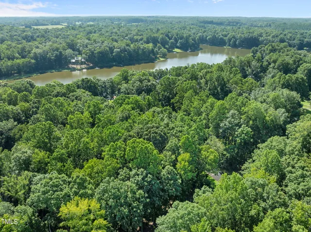 a view of a lush green forest with a lake and trees
