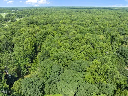 a view of a lush green space