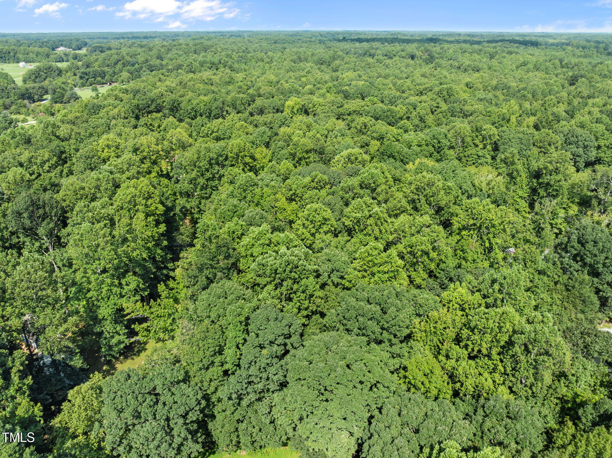 605 Canotage Court Cedar Grove, NC 27231 - Photo 15 of 17 a view of a lush green space
