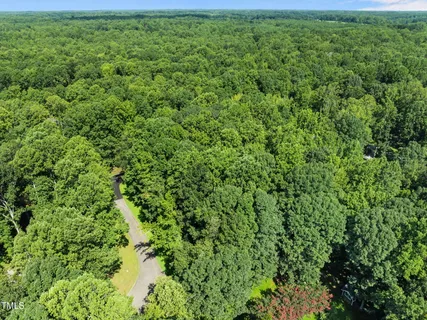 a view of a large yard with plants and large trees