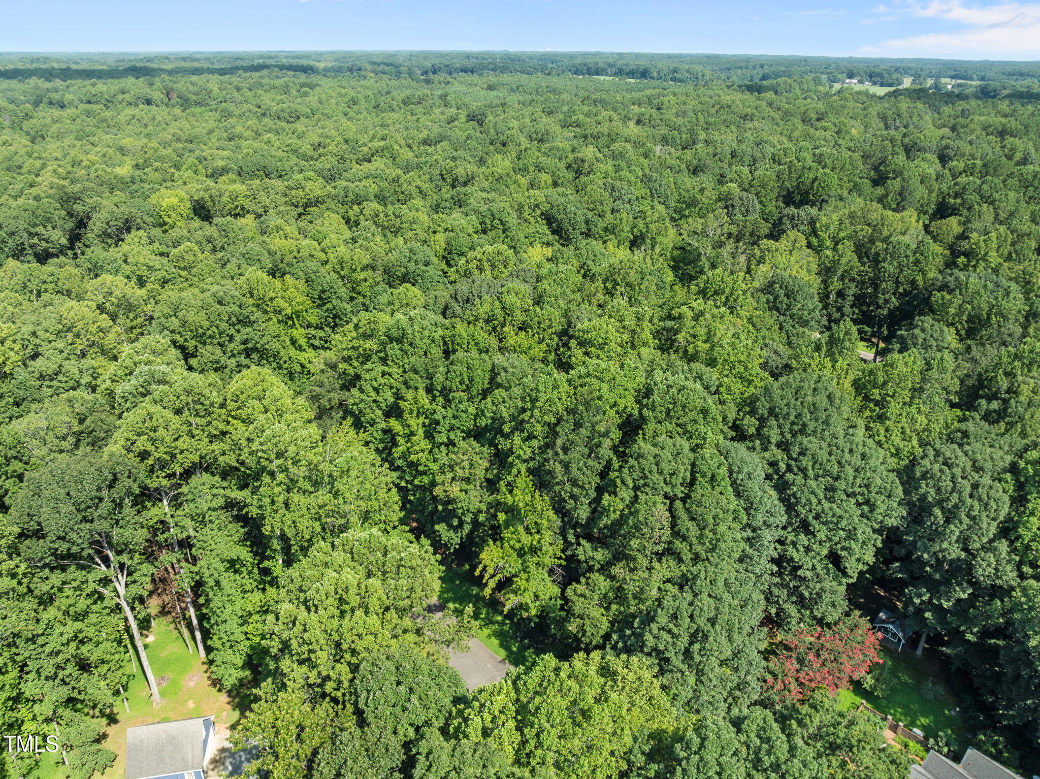 605 Canotage Court Cedar Grove, NC 27231 - Photo 17 of 17 a view of a lush green space