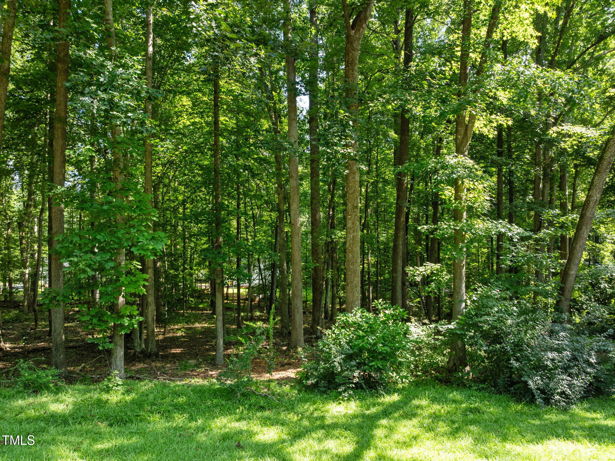 605 Canotage Court Cedar Grove, NC 27231 - Photo 2 of 17 a backyard of a house with lots of green space