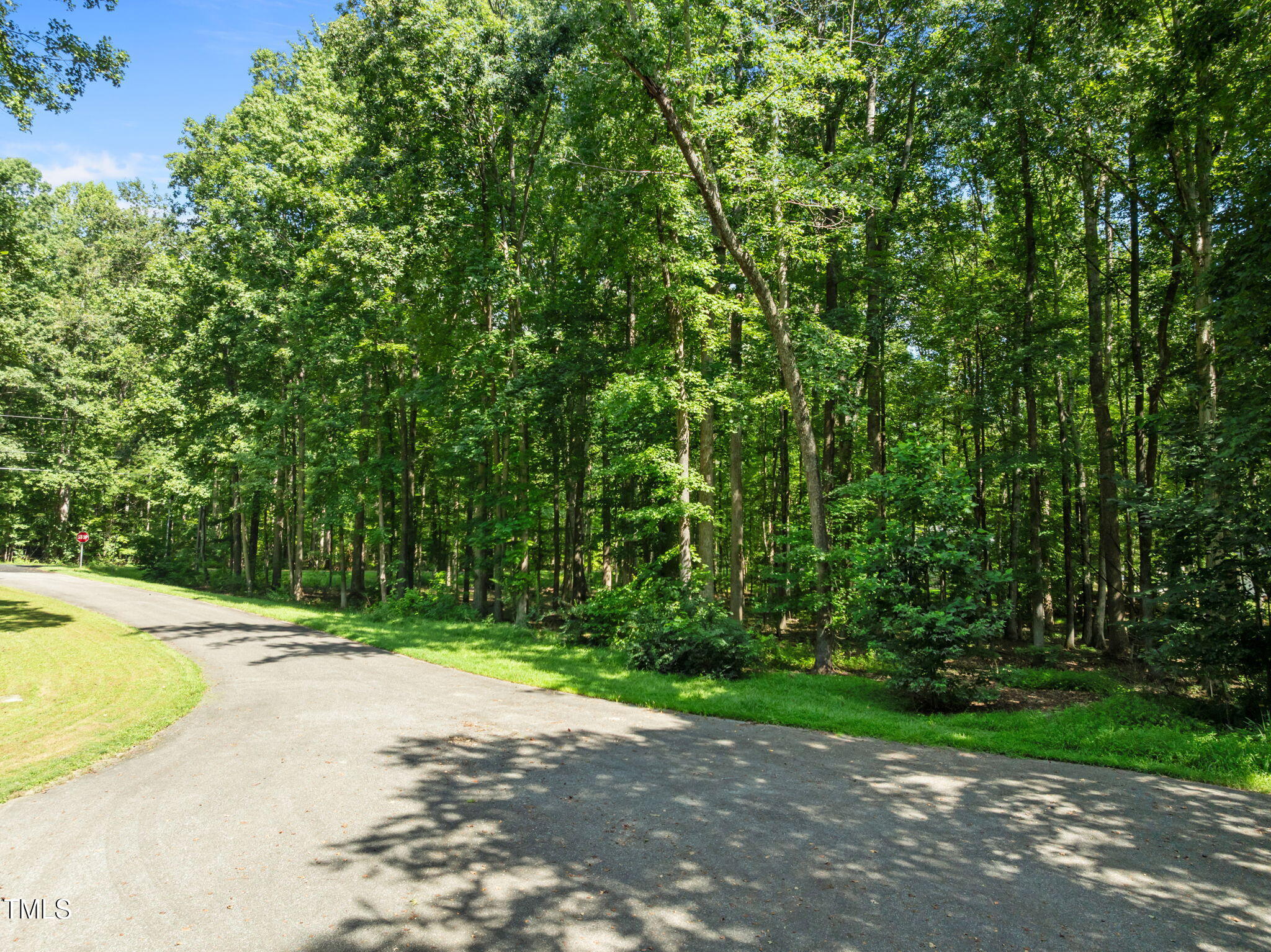 605 Canotage Court Cedar Grove, NC 27231 - Photo 3 of 17 a backyard of a house with lots of green space