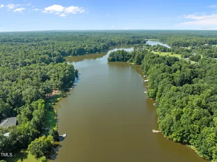 an aerial view of green landscape with trees houses and lake view