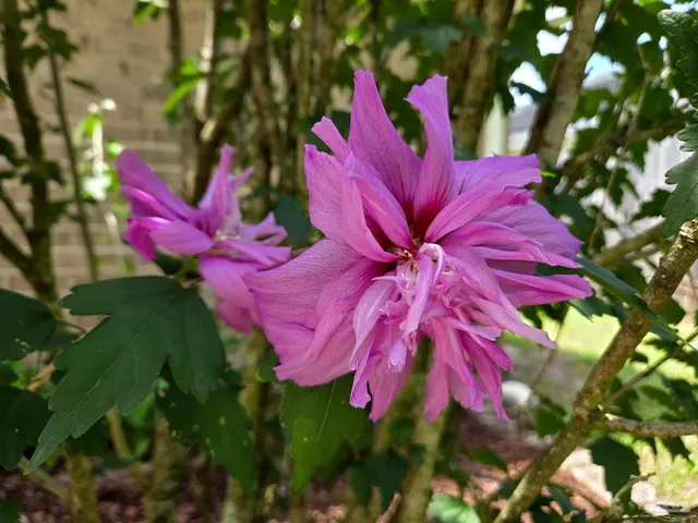 $375,000 | 1908 Joshua Drive, Cantonment, FL 32533