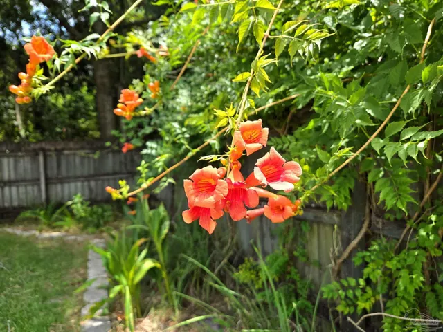 $375,000 | 1908 Joshua Drive, Cantonment, FL 32533