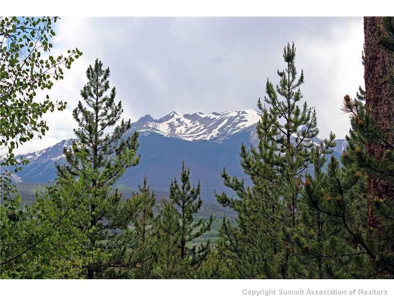 123 J Road Silverthorne, CO 80498 - Photo 14 of 17 a view of a flower
