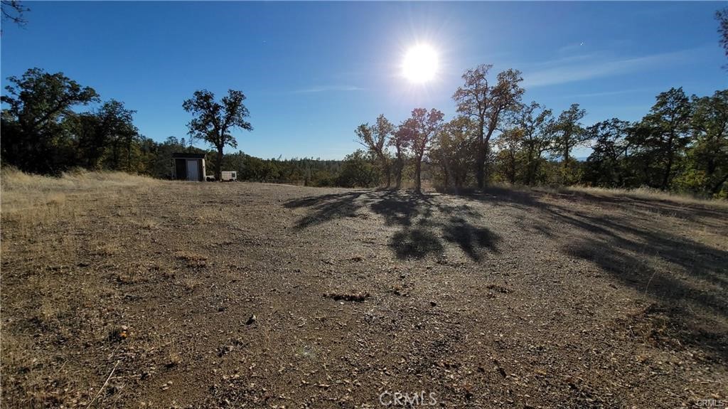 17435 Quail Ridge Road Cottonwood, CA 96022 - Photo 6 of 7 a view of a dry yard with trees