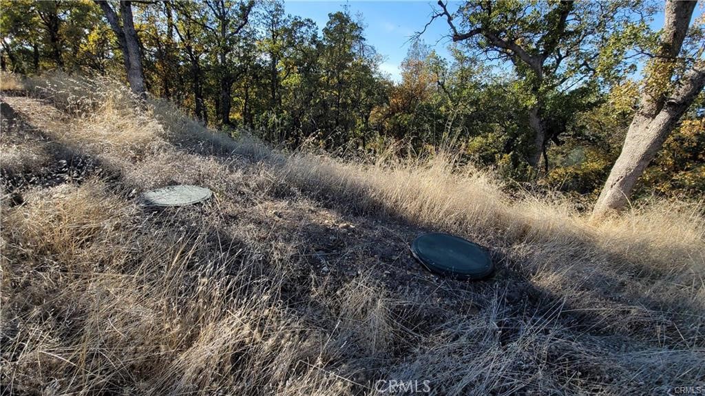 17435 Quail Ridge Road Cottonwood, CA 96022 - Photo 6 of 7 a view of a yard next to a large tree