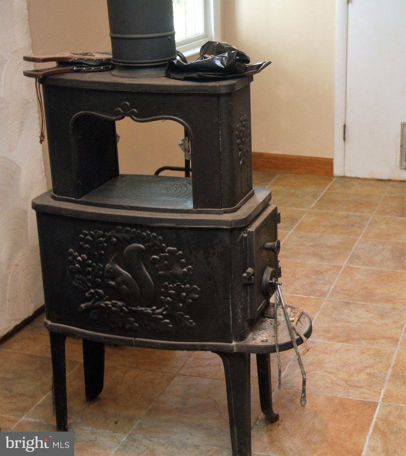 5001 West Running Brook Road Columbia, MD 21044 - Photo 14 of 26 Scandinavian Morso Brand Stove