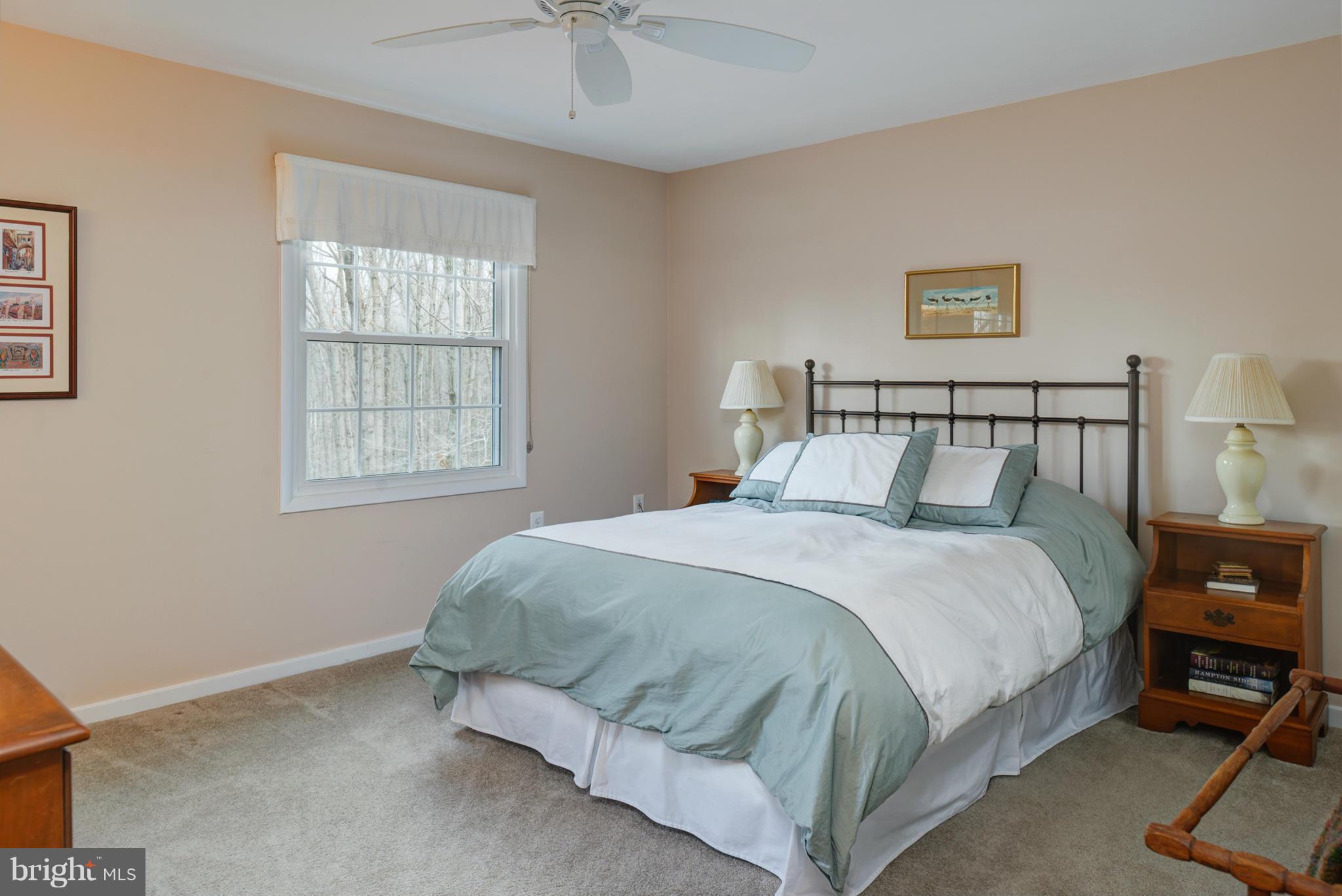 2103 Thomas View Road Reston, VA 20191 - Photo 15 of 26 Bedroom (Master)