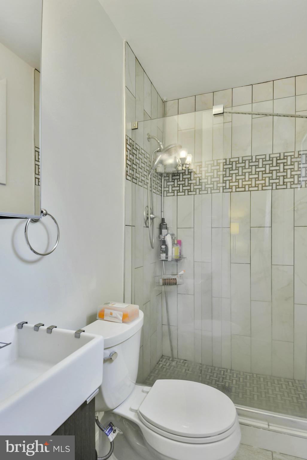 409 Eisner Street Silver Spring, MD 20901 - Photo 12 of 18 Bath (Master)