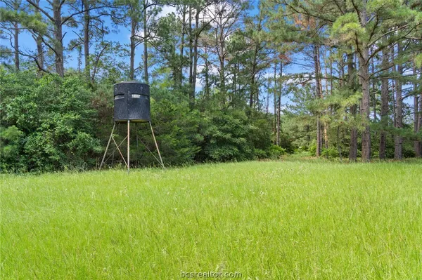 a backyard of a house with lots of green space and chair