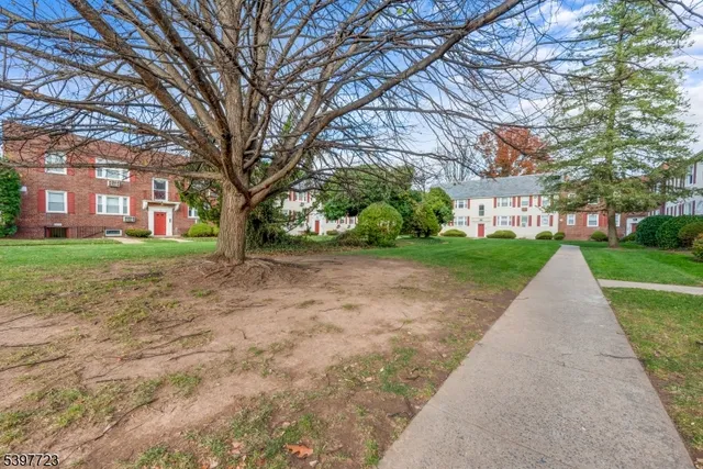 a view of a yard with plants and trees