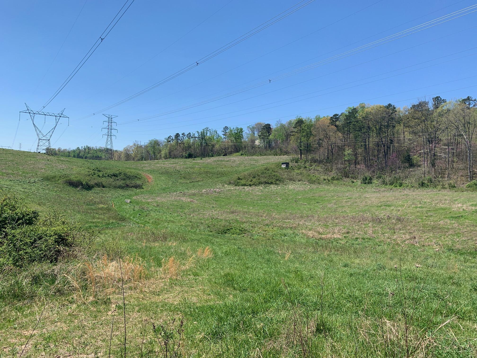 1341 Greenlee Road Rutledge, TN 37861 - Photo 1 of 8 1_Acreage