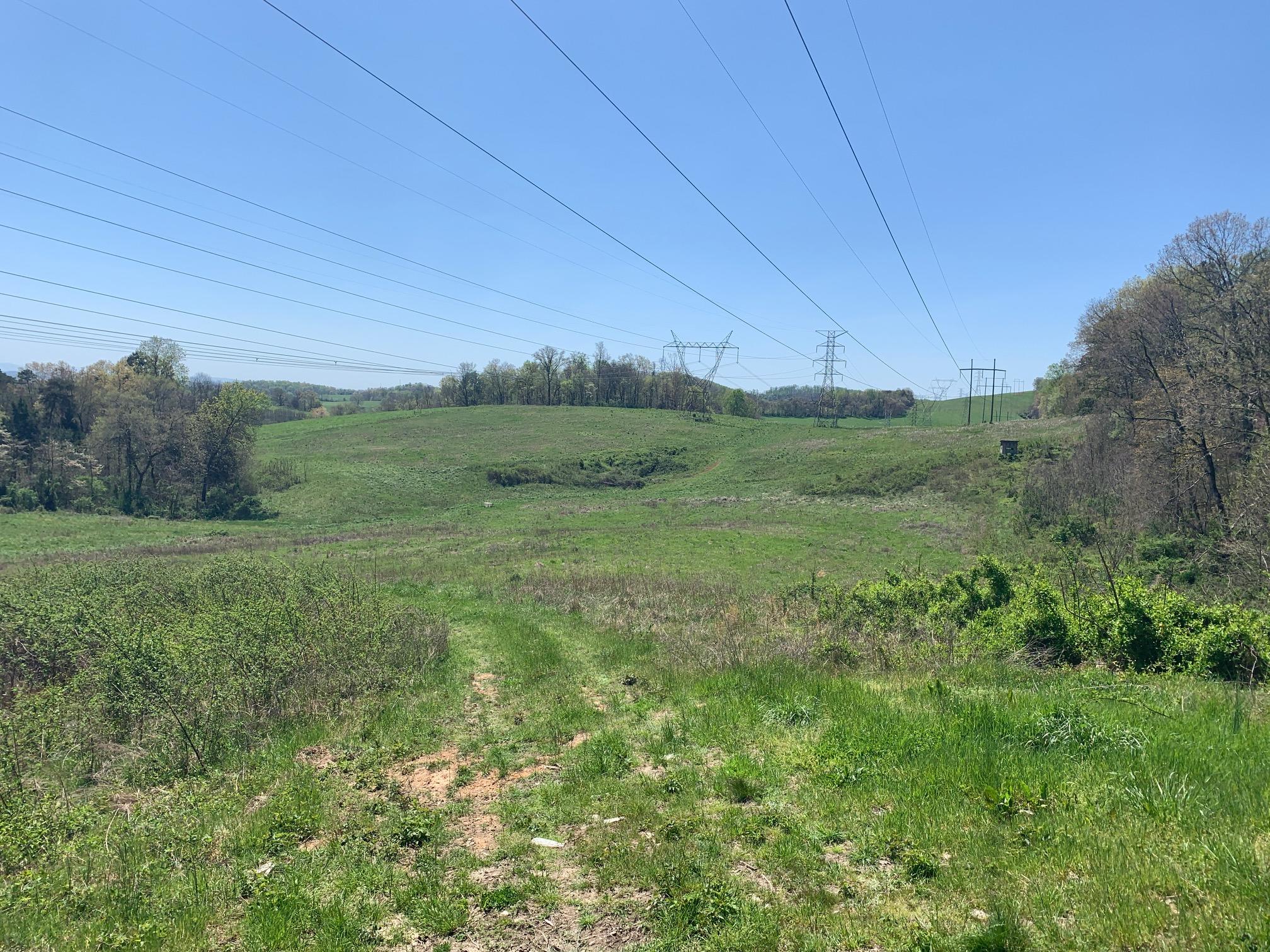 1341 Greenlee Road Rutledge, TN 37861 - Photo 3 of 8 3_Acreage