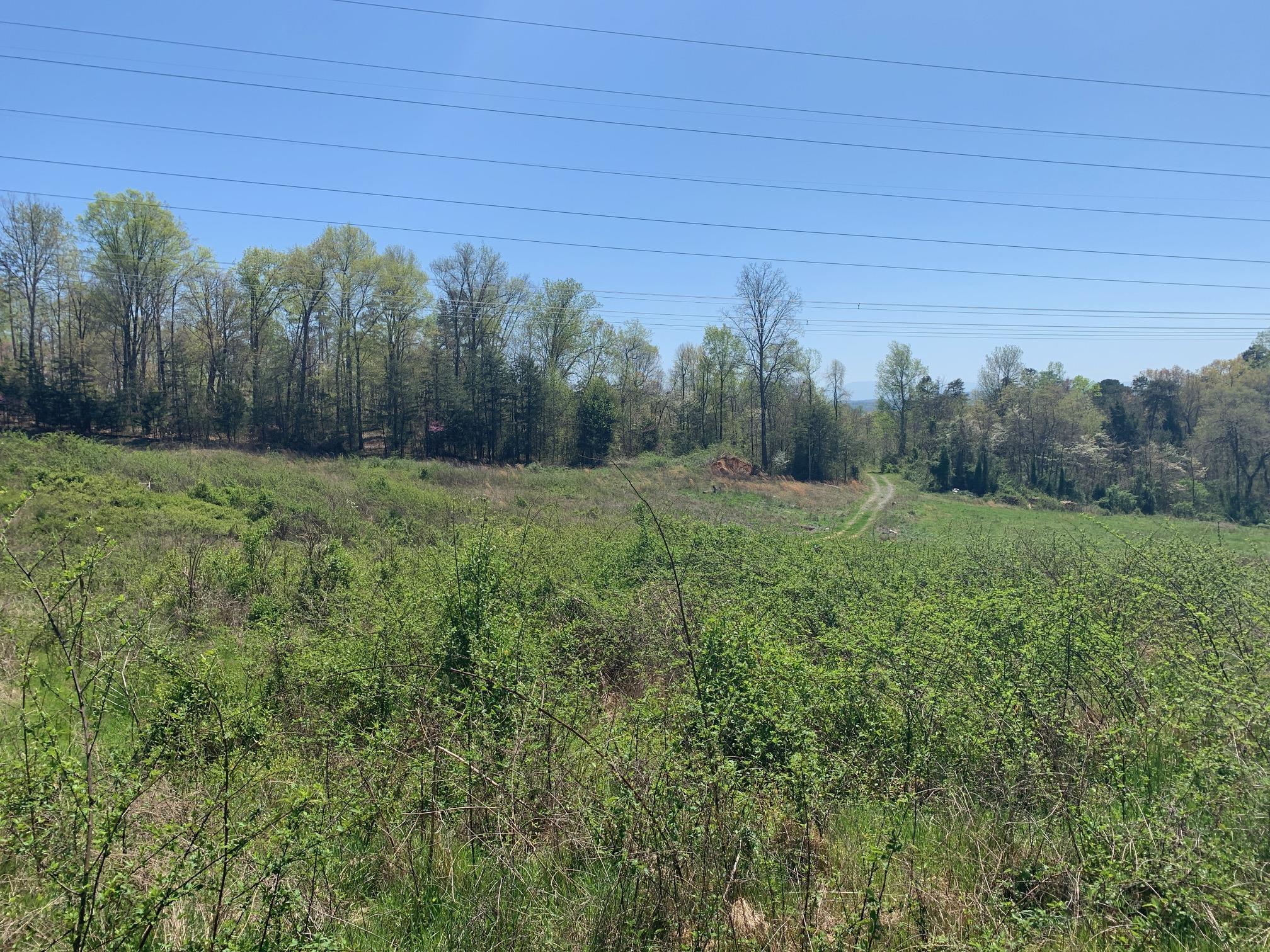 1341 Greenlee Road Rutledge, TN 37861 - Photo 5 of 8 5_Acreage