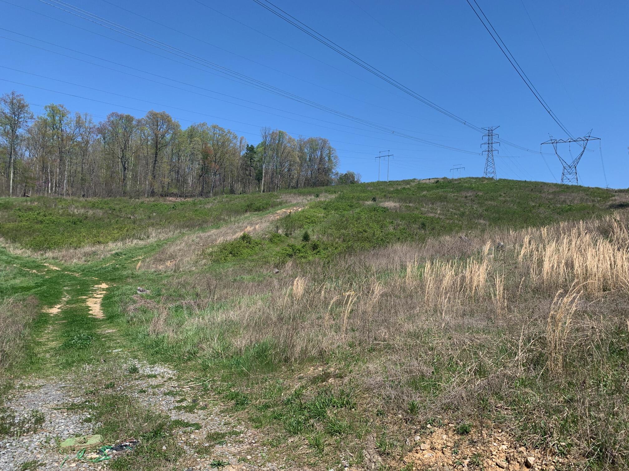 1341 Greenlee Road Rutledge, TN 37861 - Photo 6 of 8 6_Acreage